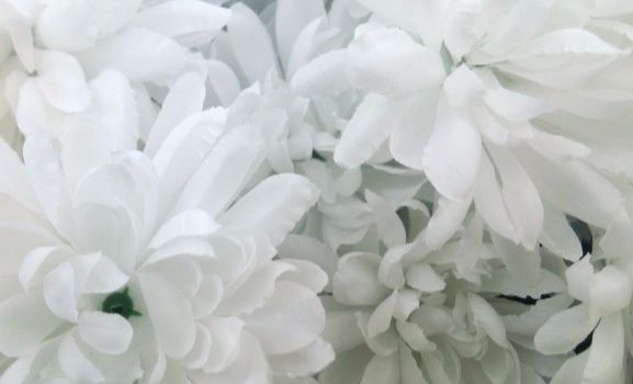 総合葬祭おかべ